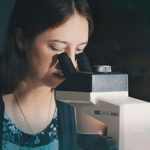 A student looks into a microscope